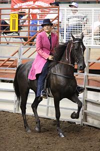 Sinard Racking Horses