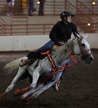 Fennell Stables