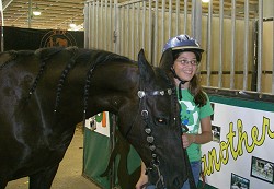 High Country Stables